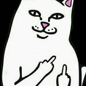 Meet your Posher, Aiden